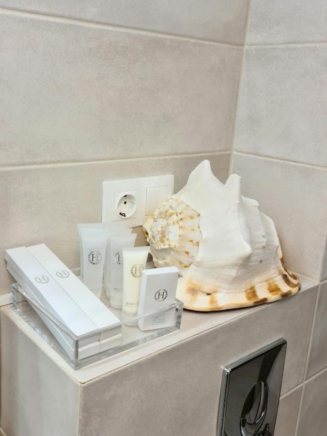 Apartment Alonisos Lux ブラショフ エクステリア 写真