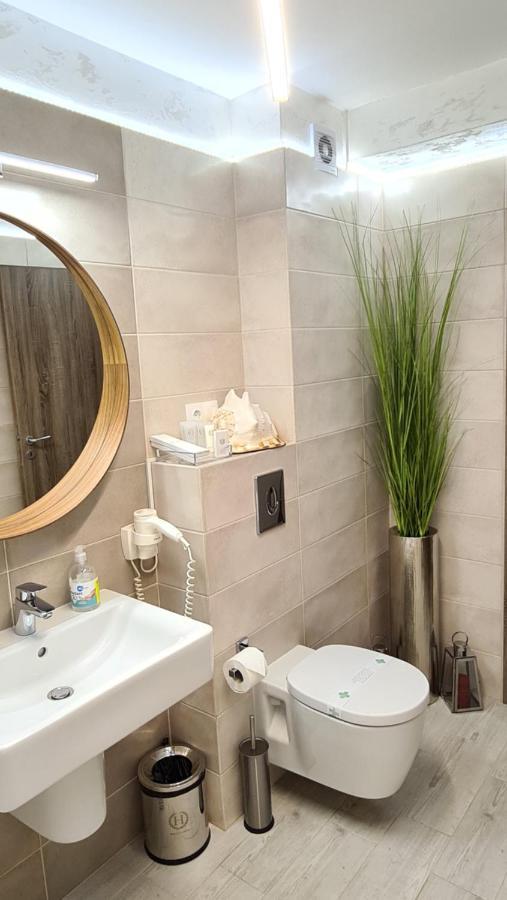 Apartment Alonisos Lux ブラショフ エクステリア 写真