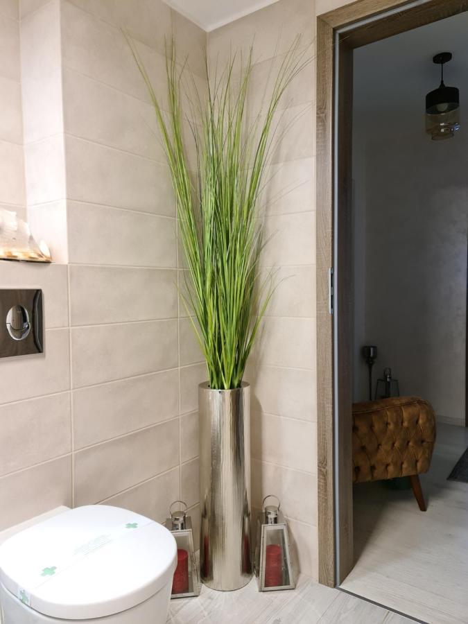 Apartment Alonisos Lux ブラショフ エクステリア 写真