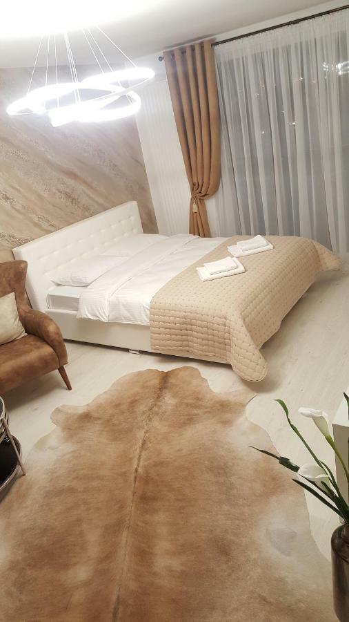 Apartment Alonisos Lux ブラショフ エクステリア 写真