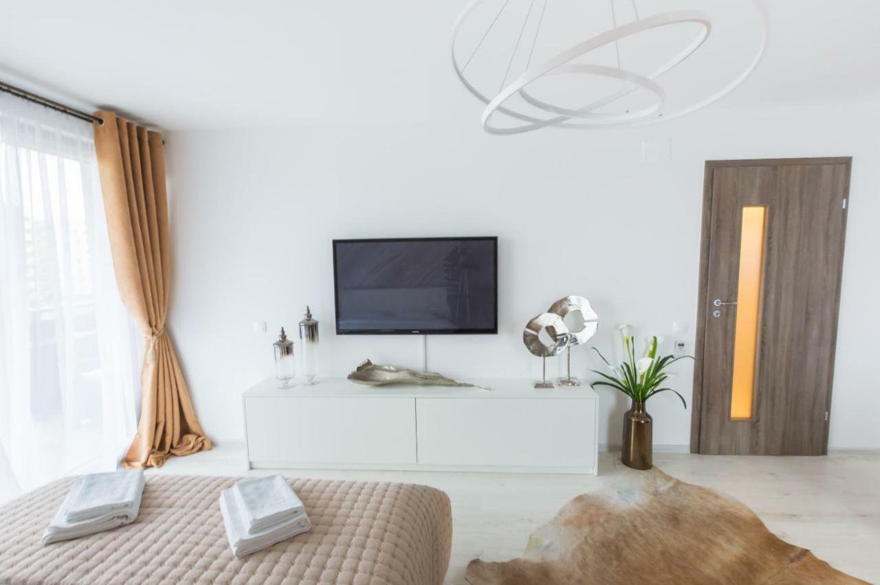Apartment Alonisos Lux ブラショフ エクステリア 写真