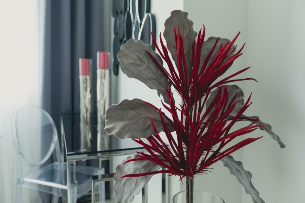 Apartment Alonisos Lux ブラショフ エクステリア 写真