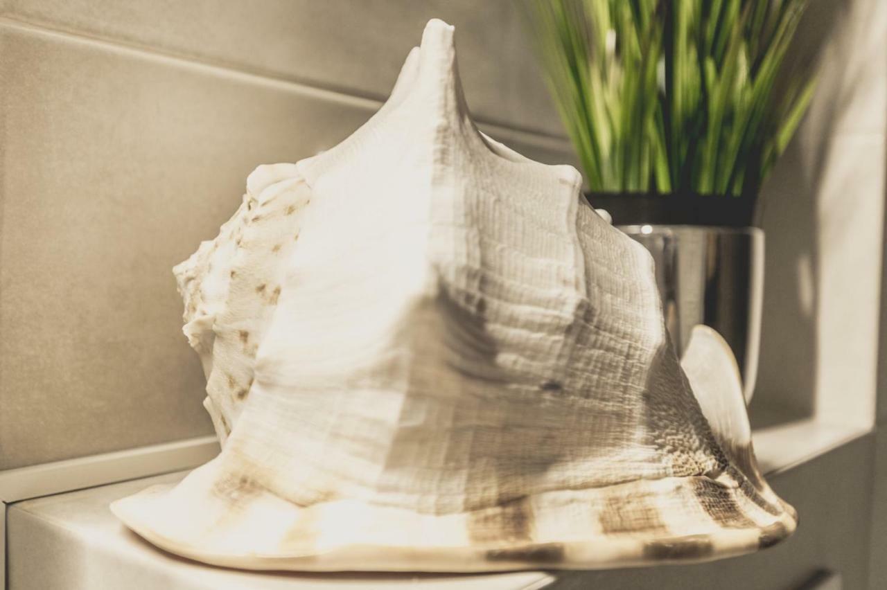 Apartment Alonisos Lux ブラショフ エクステリア 写真