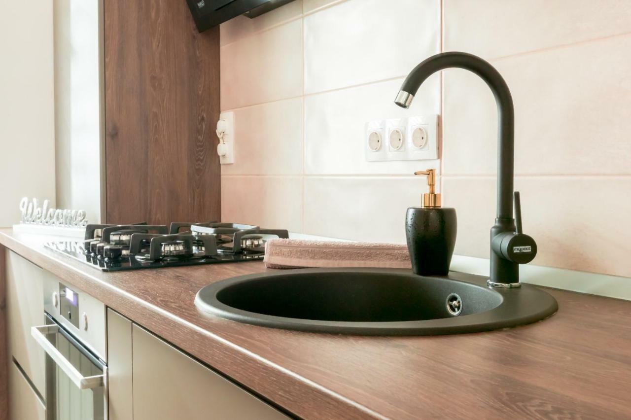 Apartment Alonisos Lux ブラショフ エクステリア 写真