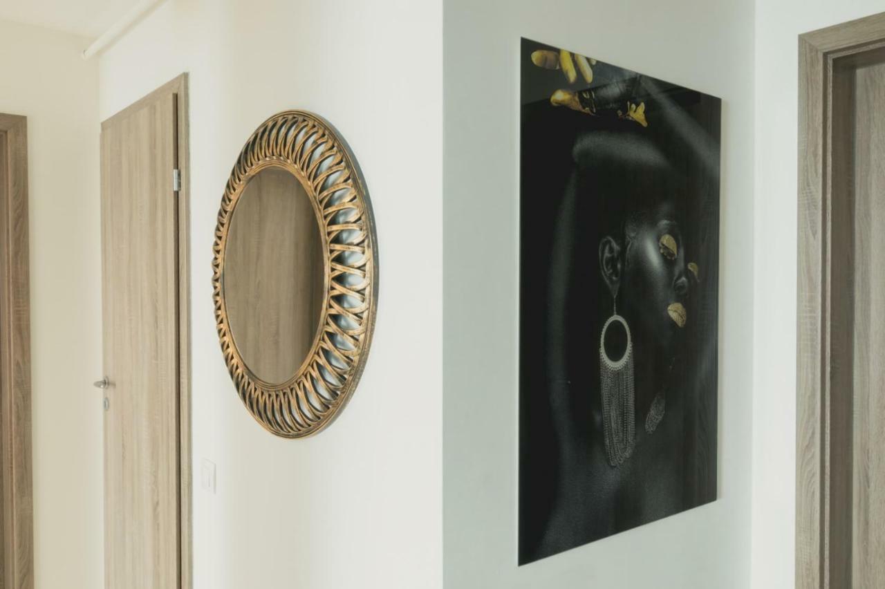 Apartment Alonisos Lux ブラショフ エクステリア 写真
