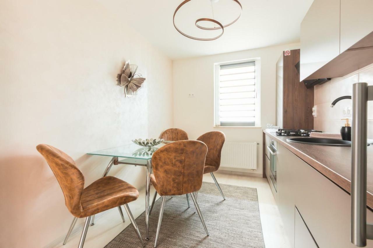 Apartment Alonisos Lux ブラショフ エクステリア 写真
